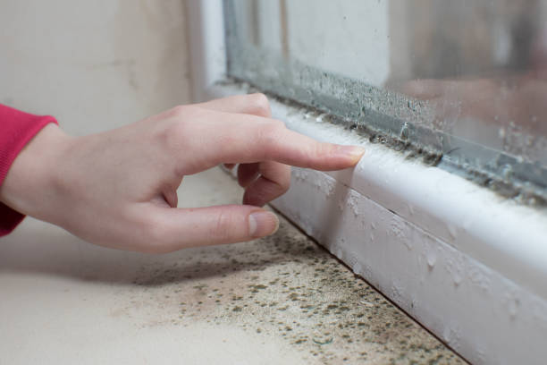 Best Residential Mold Inspection & Testing  in Sigourney, IA